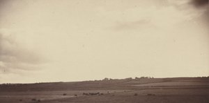 Widok pola z krowami, lata 1850-1860 (zdjęcie) autorstwa British Photographer