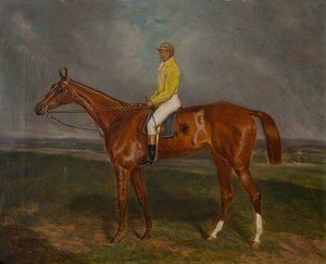 Kasztanowy koń wyścigowy z dżokejem, ok. 1860-90 (olej na płótnie) autorstwa British School