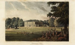 Stado jeleni przed Trentham Hall autorstwa British School