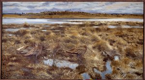 Curlews Ptaki na bagnach. Obraz Bruno Andreasa Liljeforsa (1860-1939) 1913 niedz. 1,19x2,2m autorstwa Bruno Andreas Liljefors