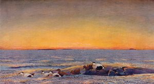 Wschód słońca, 1896 autorstwa Bruno Andreas Liljefors