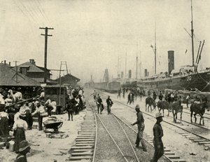 Więźniowie zwolnieni, wojna hiszpańsko-amerykańska, czerwiec 1898, 1899. autorstwa Burr McIntosh