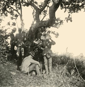Drzewo, z którego kapitan Paget... widział... bitwę pod San Juan, wojna hiszpańsko-amerykańska, czerwiec 1898, 1899. autorstwa Burr McIntosh