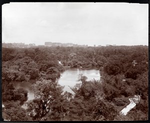 Widok na Central Park z hotelu Plaza, 5th Avenue i 59th Street, Nowy Jork, 1907 (odbitka żelatynowa) autorstwa Byron Company