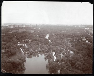 Widok na Central Park z hotelu Plaza, 5th Avenue i 59th Street, Nowy Jork, ok.1907 (srebrny odbitka żelatynowa) autorstwa Byron Company