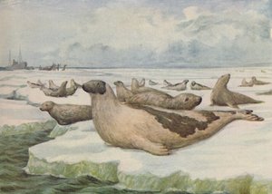 „Polowanie na foki, Nowa Fundlandia”, 1916 autorstwa C.G Lowther
