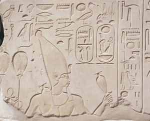 Egipt, Karnak, Czerwona kaplica Hatszepsut, płaskorzeźba ofiarowania wina Hatszepsut