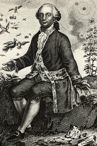 Portret Georgesa-Louisa Leclerca de Buffona (1707-1788), francuskiego przyrodnika i matematyka, grawerowanie autorstwa J.B. and Brown J. Rowbotham