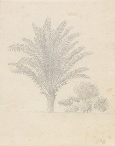 Grupa palm i liści autorstwa Christoffer Wilhelm Eckersberg