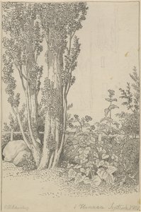 Topole i dzikie porosty w Hanau autorstwa Christoffer Wilhelm Eckersberg