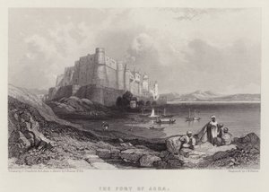 Fort Agra (kolor lito)