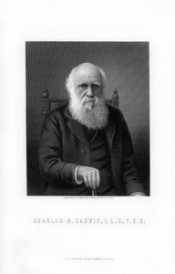 Charles Darwin, brytyjski przyrodnik, 1899.
