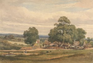 Emerey Down niedaleko Lyndhurst, New Forest, Hants autorstwa C. John M. Whichelo
