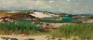 Wydma Nantucket, ca. 1890. autorstwa C. Morgan McIlhenney