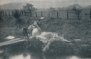 Strzyżenie owiec, 1910 autorstwa C. Reid