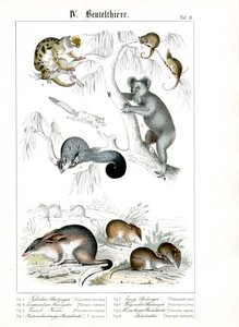  autorstwa C. Roth
