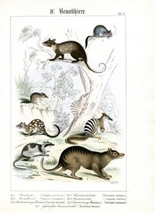  autorstwa C. Roth