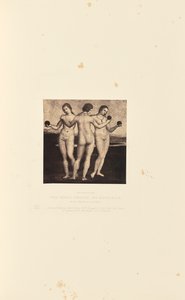 Trzy Gracje, autor: Raffaelle
