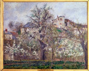 Wiosna, kwiaty śliwy w Pontoise - olej na płótnie autorstwa Camille Jacob Pissarro