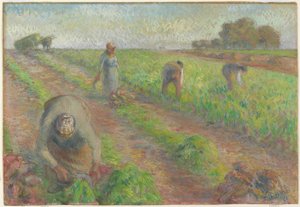 Żniwa buraków, 1881 (gwasz na graficie na lnie) autorstwa Camille Jacob Pissarro