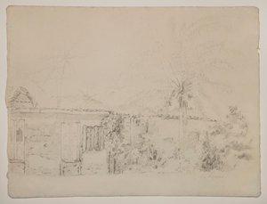 Domy i palmy autorstwa Camille Pissarro