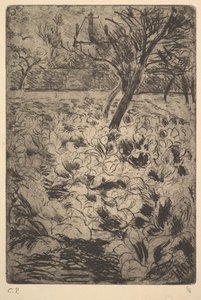 Pole Kapusty, ca. 1880. autorstwa Camille Jacob Pissarro