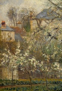 Ogród warzywny i drzewa kwitnące wiosną w Pontoise autorstwa Camille Jacob Pissarro
