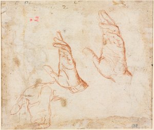 Studium rąk (verso) autorstwa Camillo Procaccini