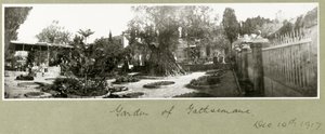 Ogród Getsemani, 14 grudnia 1917 autorstwa Capt. Arthur Rhodes