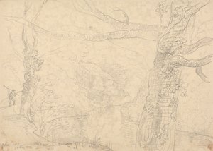 Holne Chase, 30 maja 1833 autorstwa Capt. Thomas Hastings