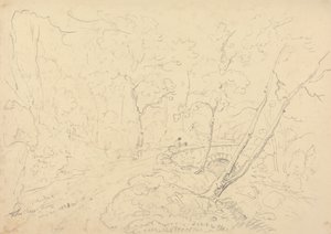 Most i rzeka Holne Chase, 30 maja 1833 r autorstwa Capt. Thomas Hastings