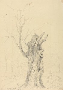 W parku Lorda Yarborough, Appuldurcombe, Isle of Wight autorstwa Capt. Thomas Hastings