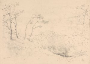 Szkic drzew i wzgórz nad Barton Farm House, Isle of Wight autorstwa Capt. Thomas Hastings
