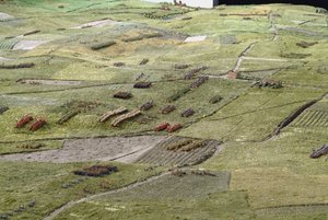 Diorama bitwy pod Waterloo przedstawiająca ustawienie wojsk o godz. 19.45 18 czerwca 1815 r. (mixed media) (detal)