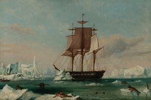 USS Vincennes w Disappointment Bay (olej na płótnie) autorstwa Captain Charles (attributed to) Wilkes