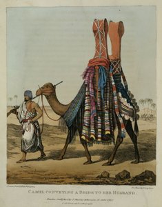 Wielbłąd niosący pannę młodą mężowi, grawerowany przez Denisa Dightona (1792-1827) płyta 16 z „Narracji o podróżach po północnej Afryce”, wyd. 1821