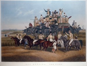 Hog Hunting: The Find, grawerowane i pub. panowie Fores, ok. 1840 (kolorowy grawerunek) autorstwa Captain John (after) Platt