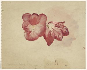 Dwa czerwone tulipany autorstwa Carel Adolph Lion Cachet
