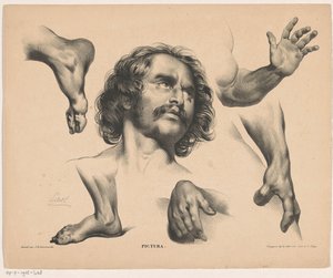 Głowa mężczyzny, stopy, dłonie i ramiona Pictura (tytuł serii na obiekcie) autorstwa Carel Christiaan Antony Last