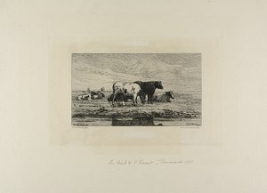 Bank of Escaut autorstwa Carel Nicholaas Storm van Gravesunde
