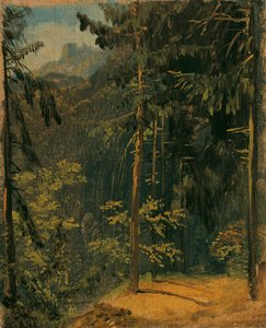 Leśna ścieżka w Harz autorstwa Carl Blechen