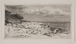 Kamienne Strandbred autorstwa Carl Bloch