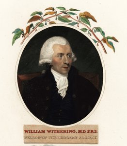 Portret Williama Witheringa, lekarza i botanika autorstwa Carl Frederik van (after) Breda
