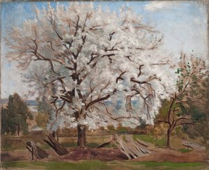 Jabłoń w rozkwicie autorstwa Carl Fredrik Hill