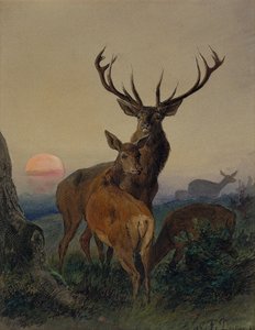 Jeleń z jeleniem w zalesionym krajobrazie o zachodzie słońca autorstwa Carl Friedrich Deiker