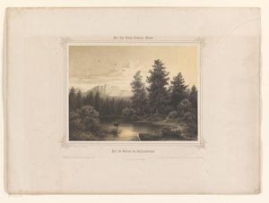 Widok na wodę w Salzkammergut Flus der Gossau im Salzkammergut (tytuł na obiekcie) Album przedstawiony Ludwikowi Bawarskiemu (tytuł serii) Album Königa-Ludwiga (tytuł serii) autorstwa Carl Friedrich Würthle