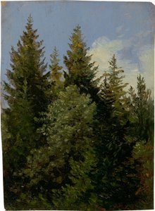Jodły autorstwa Carl Gustav Carus