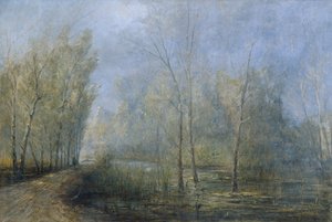 Donau-Auen autorstwa Carl Kaiser Herbst