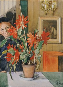 Kaktus Brity, 1904 autorstwa Carl Larsson