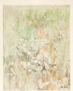 Kallor autorstwa Carl Larsson